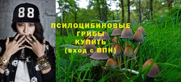 a pvp Аркадак