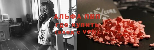 a pvp Аркадак