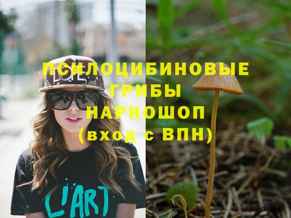 твердый Армянск
