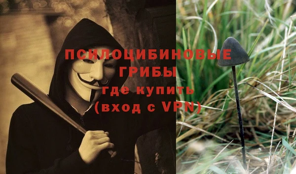 a pvp Аркадак