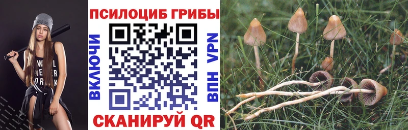 Псилоцибиновые грибы мухоморы  наркошоп  дарк нет наркотические препараты  Ивантеевка 